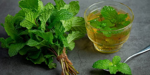 تصویر 5 از اسانس نعناع غلیظ + طعم دهنده تازه و خوش بو